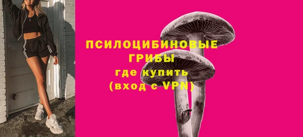 молекула духа Киренск
