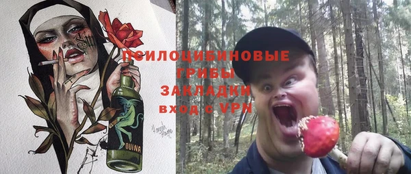молекула духа Киренск