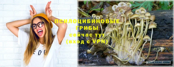 молекула духа Киренск